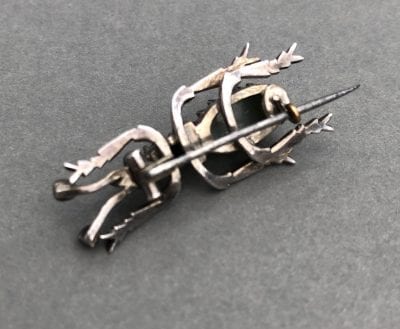 Victorian Cats Eye Bug Brooch